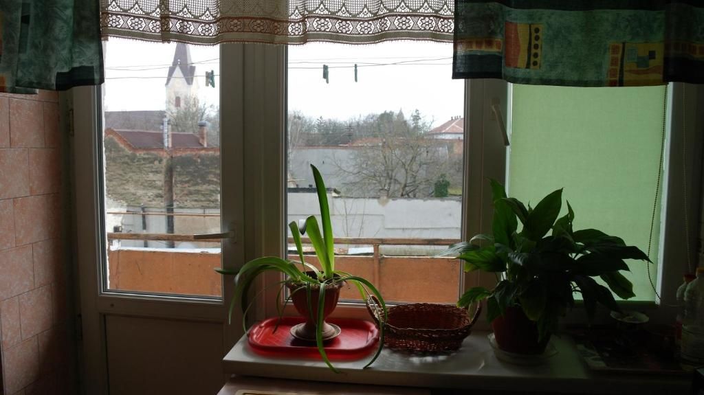 Апартаменты Apartment on Korjatovich 6a Берегово