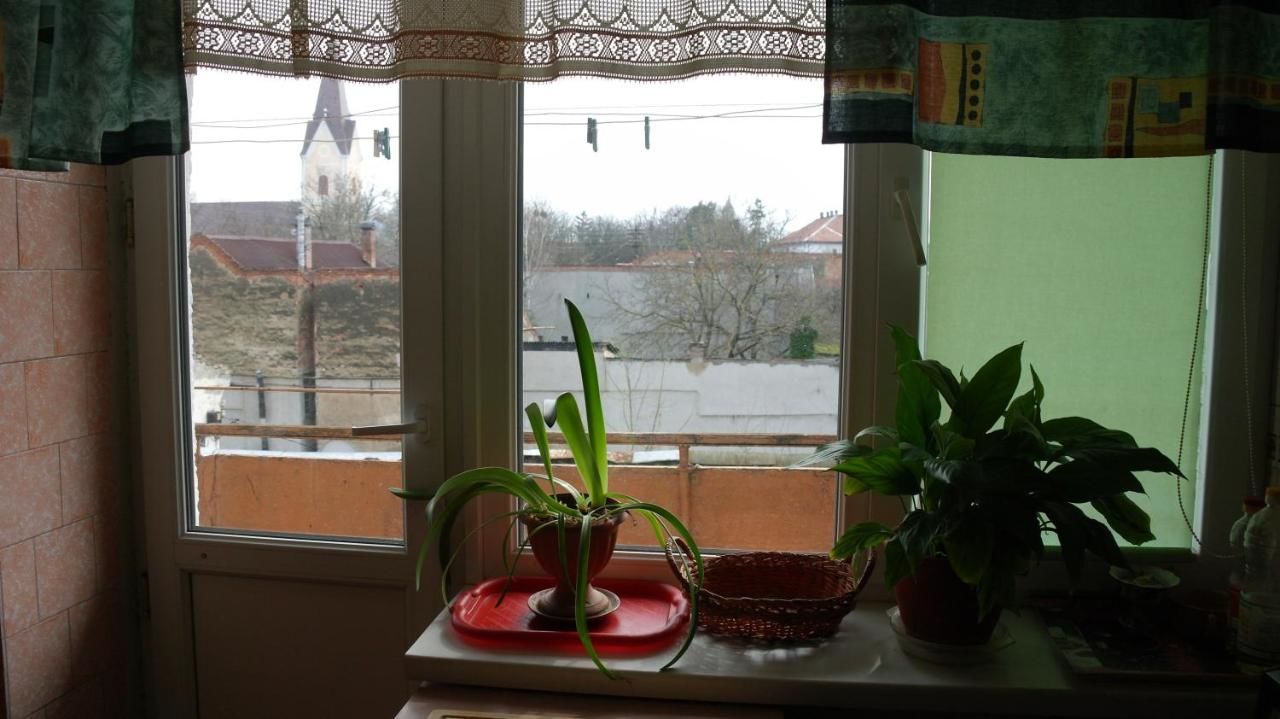 Апартаменты Apartment on Korjatovich 6a Берегово